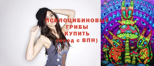 jwh Гусь-Хрустальный