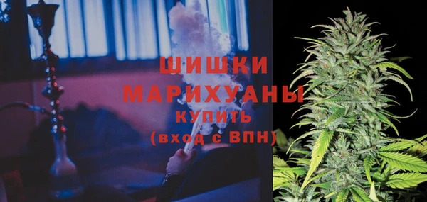 молекула духа Щучье