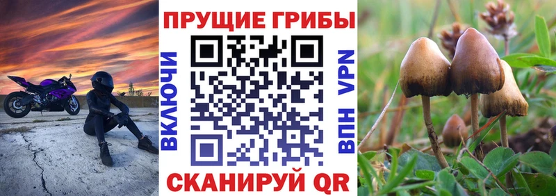 Галлюциногенные грибы GOLDEN TEACHER  mega сайт  Осинники 