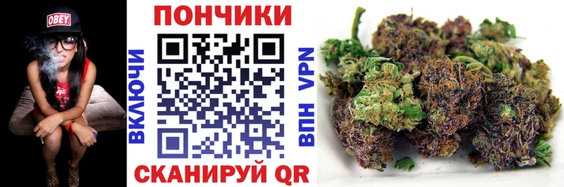 Шишки марихуана THC 21%  Осинники 